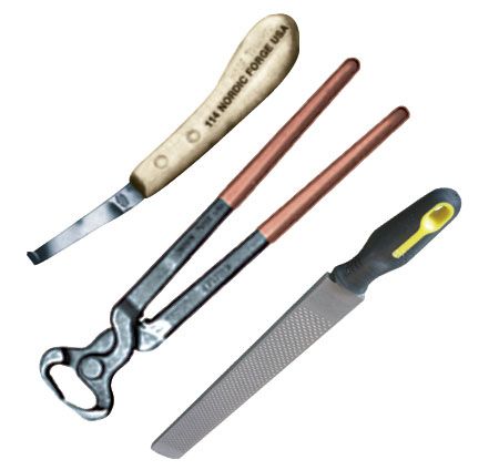 3 Piece Professional Farrier Kit