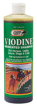 Viodine Medicated Shampoo