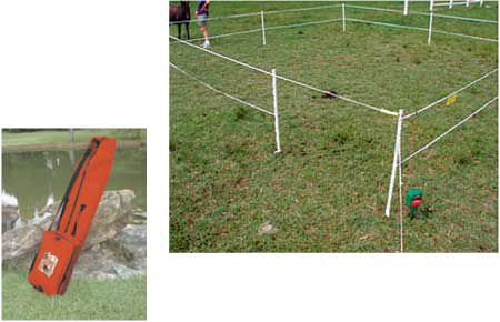 DIY A DOG FENCE CHEAPER THAN INVISIBLE FENCE#174; —