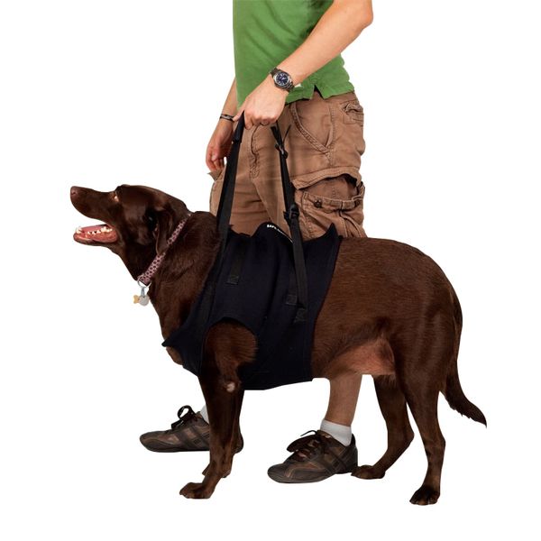 Lift Em Up Mobility Harness Front Large