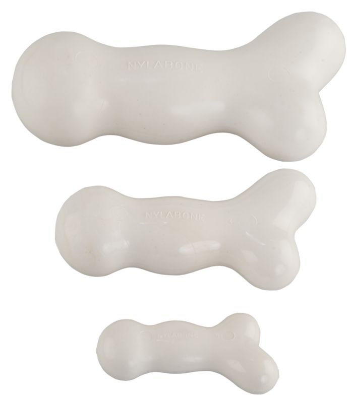 Nylabone Galileo Bone for Dogs Petite