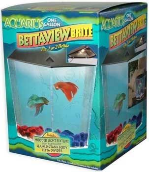 TOM Betta View Brite