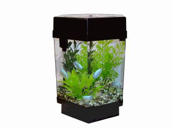 TOM Eco-Hex Aquarium Kit
