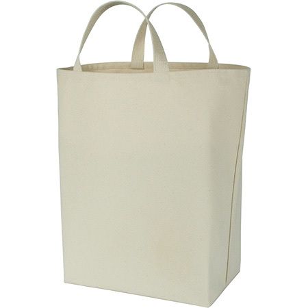 Equinox Canvas Grocery Bag