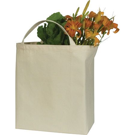Equinox Organic Cotton Grocery Bag