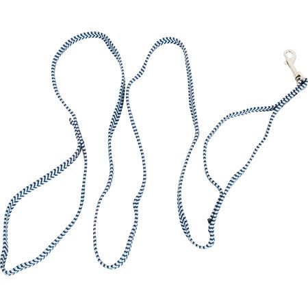 Liberty Mountain Spectra Web Dog Leash