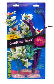 Melon Cluster Multipack