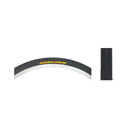Panaracer Pasela 26 Tire
