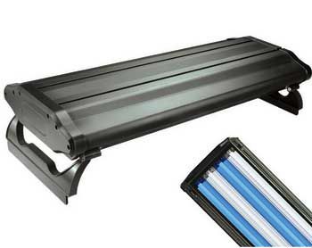 Wavepoint T5 Lighting Systems