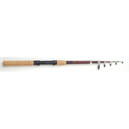 South Bend Proton Telescopic Spin Rod 6.5