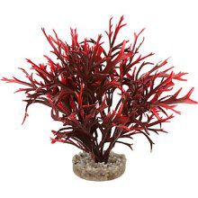 ColorBurst Florals Gravel Base Water Fern