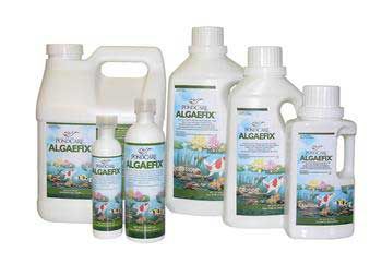 API PondCare Algae Fix 64 Oz