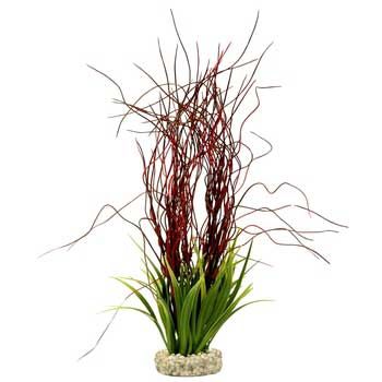 ColorBurst Florals Water Hair Grass Plant