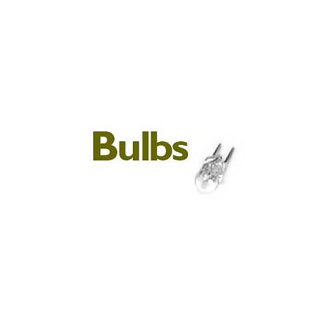 Light and Motion Bulbs