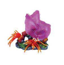 Seagarden Anemone Reefscapes