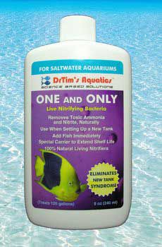 Dr Tims Saltwater One And Only