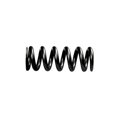 Steel Rear Coil Spring