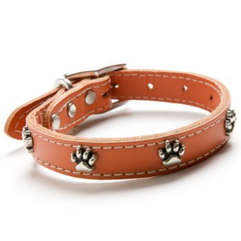 Paw Print Latigo Dog Collar Orange