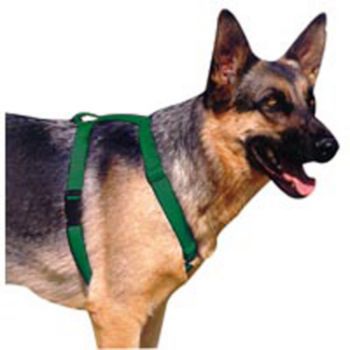 Adjustable Nylon Harness Forest Green