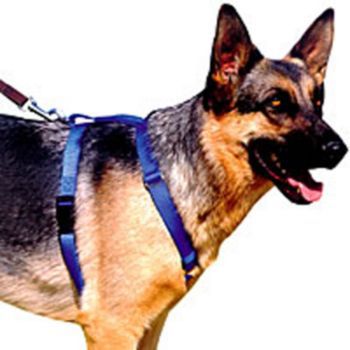 Adjustable Nylon Harness Blue