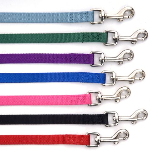 Nylon Dog Lead 4 Ft X 5/8 In Saxe Blue