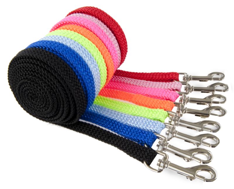 Rainbow Nylon Puppy Lead Neon Pink