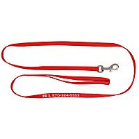 Personalized Dog Lead 4 Foot Red
