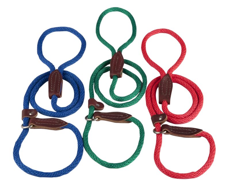 Slip Lead for Dogs 6 Foot Green