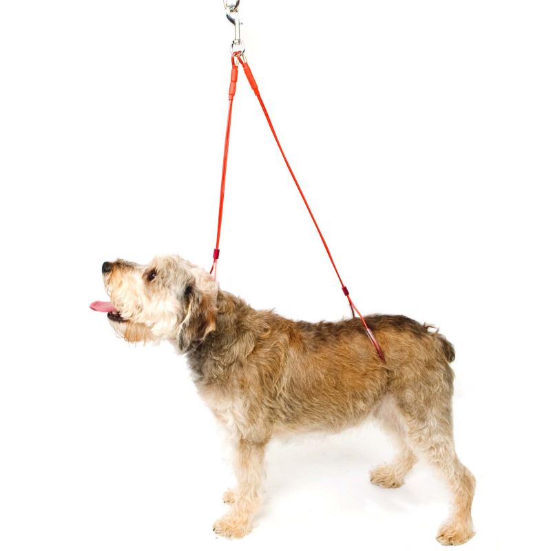 No Sit Body Support Grooming Restraint