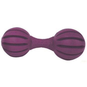 Busy Buddy Waggle Toy