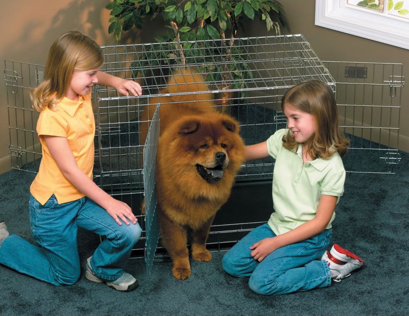 Midwest Life Stages 3 Door Dog Crate