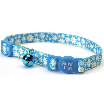 Coastal Safe Cat Collar 8-12 X 3/8 Daisy Blue