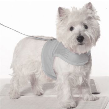 Fashion Pet Reflective Harness & Lead Slv