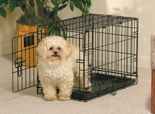 MidWest Life-Stages Folding Dog Crate 22 x 13 x 16