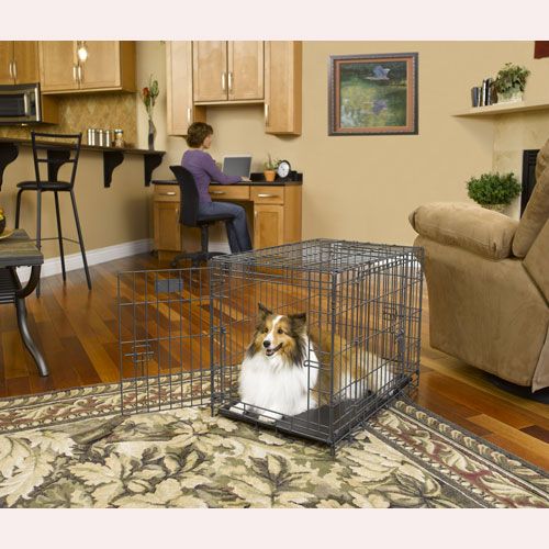 Midwest Select 3 Door Folding Dog Crate 48x30x33