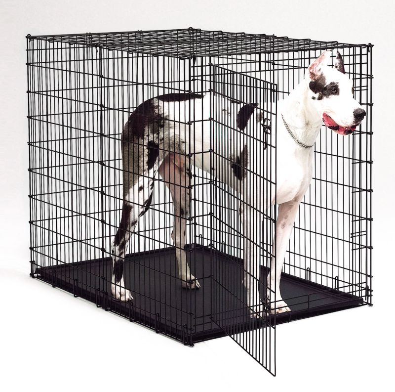 Great dane size crate sale