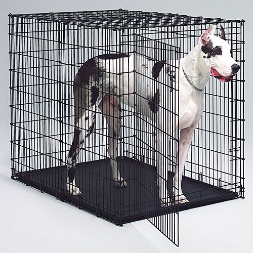 MidWest Large Dog Crate