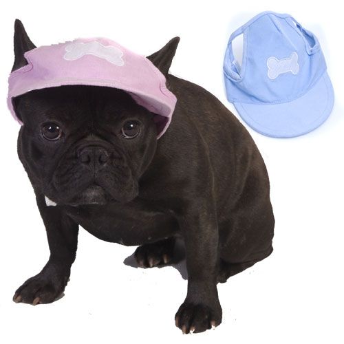 Little Lids Dog Cap 14 In Diameter Pink