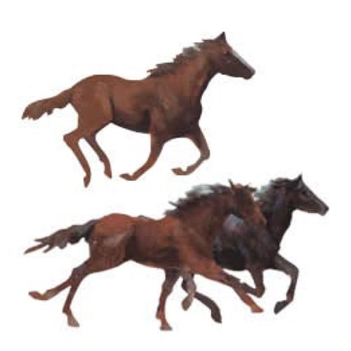 Wallies Wallpaper Cutouts Jim Rey Horses