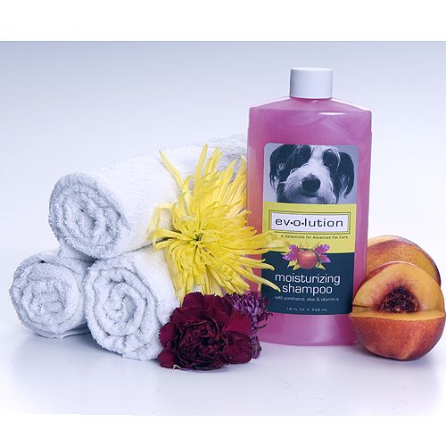 Evolution Nect/Ginger Moisture Shampoo
