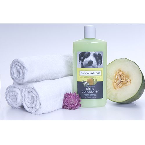 Evolution Hnydew Jas Shine Conditioner