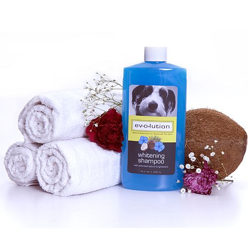 Evolution Coco/Hibis Whiten Shampoo