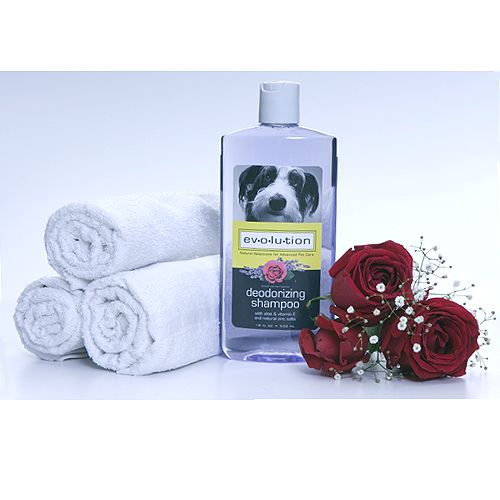 Evolution Lav/Rose Deodorize Shampoo 2.5 Gallon