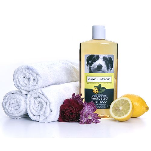 Evolution Lem/Verb Triple Med Shampoo 2.5 Gallon