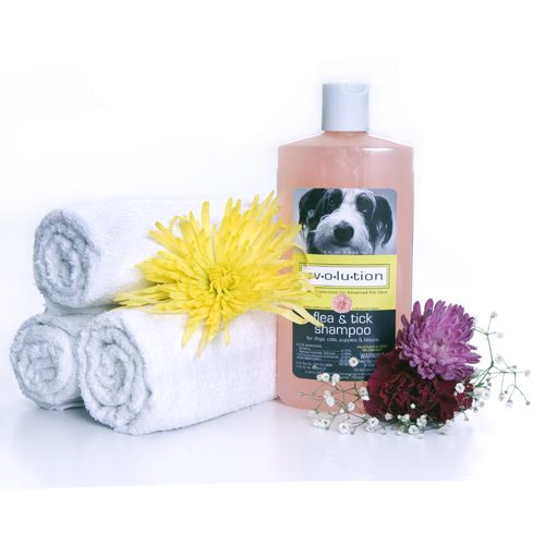 Evolution Grapefruit Flea/Tick Shamp