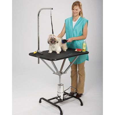 Therapet Hydraulic Grooming Table with Swivel Top