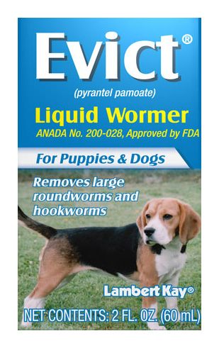 EVICT Liquid Wormer for Puppies and Dogs 2 Ounces