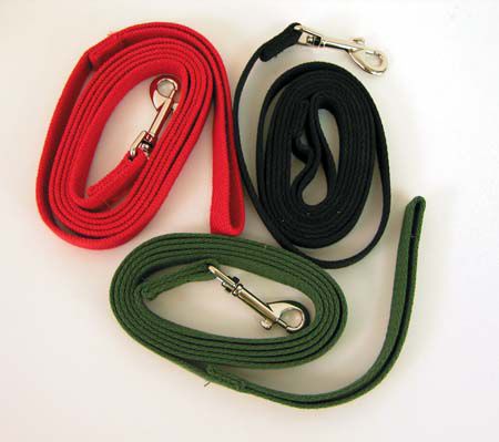 Web Training Lead Green 20 Ft Lead