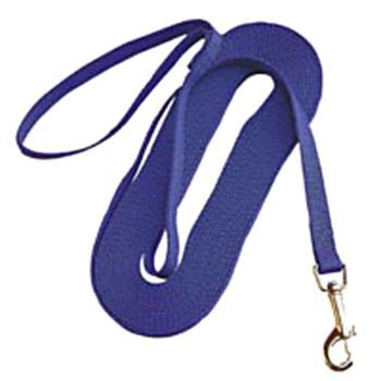 Nylon Training Lead - Blue 25 Foot