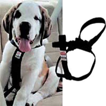 Coastal EZ Rider Dog Harness Medium